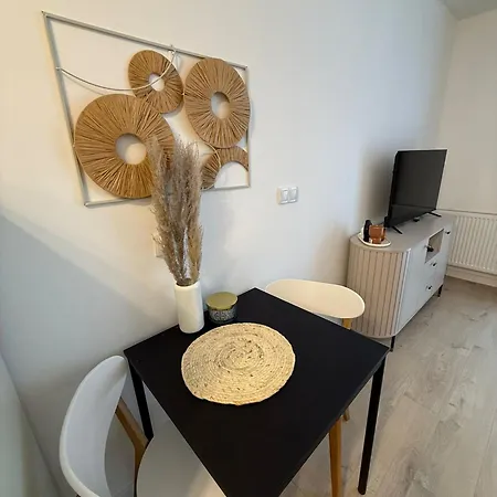Apartment Lucek Old Town