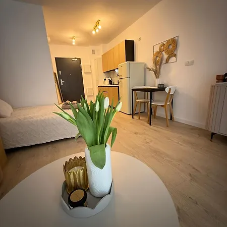 Lucek Old Town Apartment *