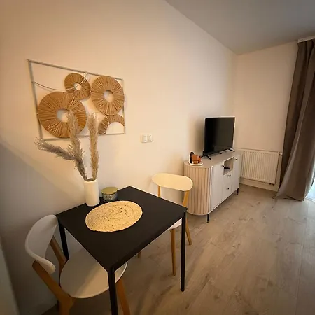 Lucek Old Town Apartment *